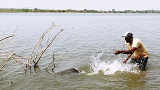 Indian River 🎣Monster|the Most big Rohu fish catcher in India| with single hook