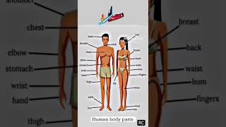 human body parts #bodytransformation #sciencefacts #science @luckyrajput36