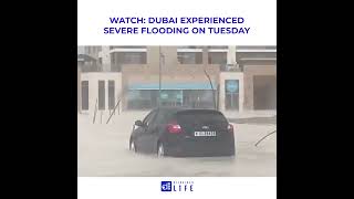 Dubai experienced severe flooding | Diinsider Life News Digest