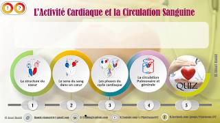 CLICK CRÉATIF - Concours National || L’Activité Cardiaque et la Circulation Sanguine.