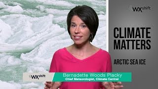 CLIMATE MATTERS: Arctic Sea Ice