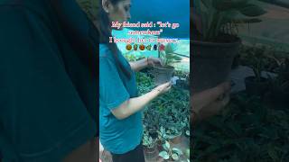 मैं कहीं ना मिलु तो मुझे यही ढूंढना😍#ytshorts #youtubeshorts #plants #Garden #shortsviral ￼#nature