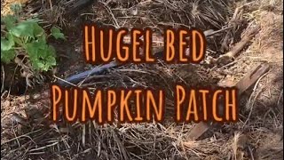 I Made A Hugel Bed Pumpkin Patch