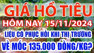 Giá tiêu hôm nay 15/11/2024: liệu có phục hồi khi thị trường về mốc 135.000 đồng/kg?