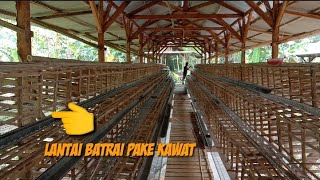 KANDANG BATRAI BAMBU LANTAI KAWAT UNTUK AYAM PETELUR