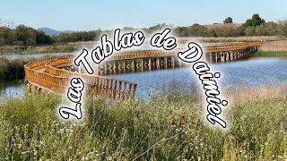 Las Tablas de Daimiel: Un oasis de biodiversidad en el corazón de La Mancha