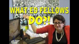 What Ed Fellows Do?