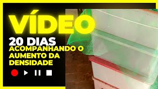 # O que aconteceu? depois de 20 dias  do aumento da densidade de minhocas na composteira?