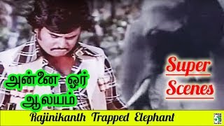 Rajinikanth Trapped The Elephant | Annai Oru Aalayam