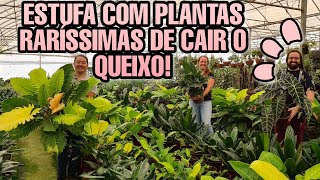 Ela tem o JARDIM / ESTUFA  mais incrível que já visitei  - PLANTAS RARÍSSIMAS