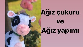 Kadife Tontiş buzağı ağız çukuru ve ağız yapımı