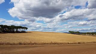 Live streaming di Dipartimento di Scienze Agrarie e Forestali UNITUS