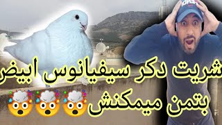 شريت دكر سيفيانوس ابيض بتمن ميمكنش 🤯🤯🤯 توليعة فالحمام طلقت الذكورة حيحو 🕊️🕊️🕊️🕊️