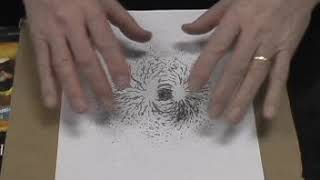 Magnetic Force Lines Using Iron Filings