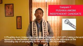 PUSHIKA AWOMI INDEPENDENT CANDIDATE Request public of Gaspani-1 to vote for him