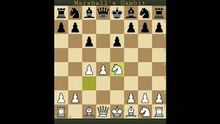 Marshall's Gambit #chess #kingsacrifice #Marshall'sGambit #chesstrick #gambits #chesstraps #trap