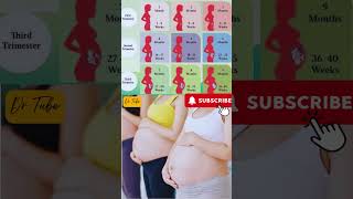 How to grow baby in pregnancy | Monthly growth in pregnancy #baby #monthly #growth