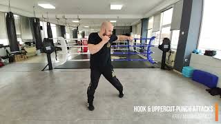 Hook & Uppercut Punch Attacks