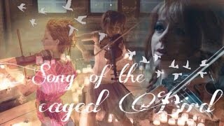 Lindsey Stirling - Song of the Caged Bird ~ FAN VIDEO ~