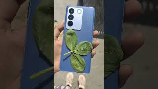 #vivov27pro #vivo #oppo #samsung #colorcheng #iphone #shortvideo #vivoy100 #s23ultra #shorts