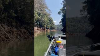 Pescaria vai muito além dos peixes🤩🏞️