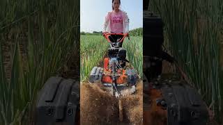 Part 744 Green onion and ginger trenching and soil-raising machine Weeding machine.👍