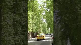 IRAN -Tehran 2022 - Walking In zafaranieh Street #shorts