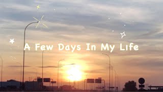 A FEW DAYS IN MY LIFE | Vlog Eps. 6 | Yunita Farianti