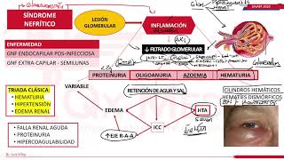 Sindrome Nefritico- ENAM 2020