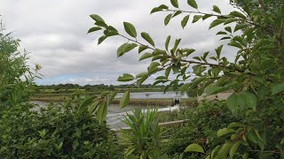 Ballade entre Larmor-Baden et Baden : infras, moulin de Baden,  barrage de Toulvern