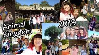 Animal Kingdom 2019 volg#6