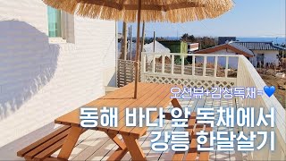 동해 바다 앞, 강원도 한달살기🌊 오션뷰+감성=💙 화이트 인테리어의 강릉 독채에서 한달 살기 추천ㅣ리브애니웨어