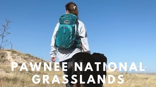 Discover A Hidden Gem of Colorado | Pawnee National Grasslands