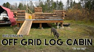 Building an Off Grid D-Styled Log Cabin in Northern Maine: More Wall Progress