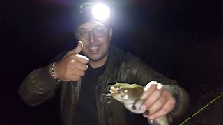 Pesca Bagres Catfish en Talca, excelente jornada