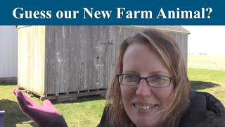 A New Adventure on our Little Farm/ What New Animals are we getting?