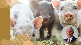 Canada’s Chief Veterinary Officer talks about the threat of African Swine Fever