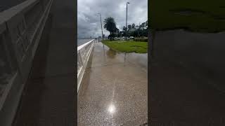 Bayshore Blvd Storm Surge from #hurricaneidalia #fyp #shortsfeed #shorts #ytshorts #yt #shortsviral