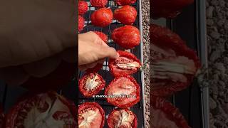 🍅Haz tomates secos SÓLO CON EL SOL ☀️ - La Cooquette