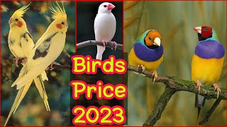 Birds price pakistan 2023 | Birds farming pakistan 2023 | EP 33