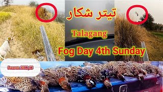 Fog Motorway close Talangang 4th Sunday Season 2022/23 Partridges Hunting تیتر شکار تحصیل تلا گنگ