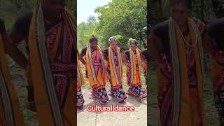 cultural dance 🔥🔥#shorts #dance