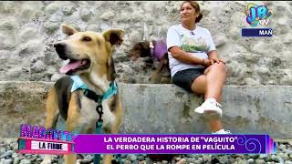 LA VERDADERA HISTORIA DE "VAGUITO" EL PERRO QUE LA ROMPE EN PELÍCULA