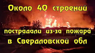 В селе под Екатеринбургом начали эвакуацию из-за лесного пожара