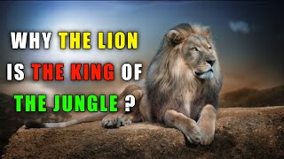 👑 शेर जंगल का राजा क्यों होता है ? || Why is the lion is the King 👑 of the jungle || Lion's Mindset