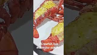 #Crawfish live #termidor yummy