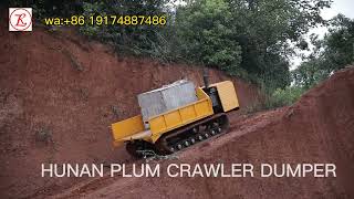 Super powered crawler carrier, test load 3 tons of uphill ability, excellent performance