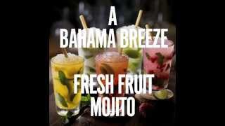 Mojito vs. Bahama Breeze Fresh Fruit Mojito