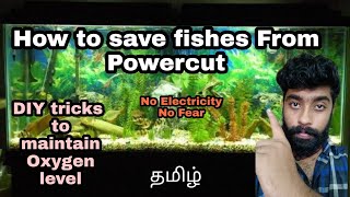 How to save our  Fish During power cut | DIY tricks to maintain oxygen level | Aquapets & farm