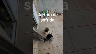 A hora de sofrida do azulejista